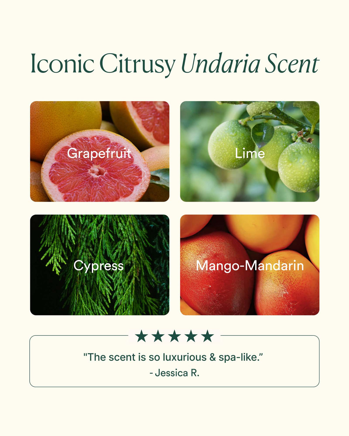Undaria Algae™ Body Oil